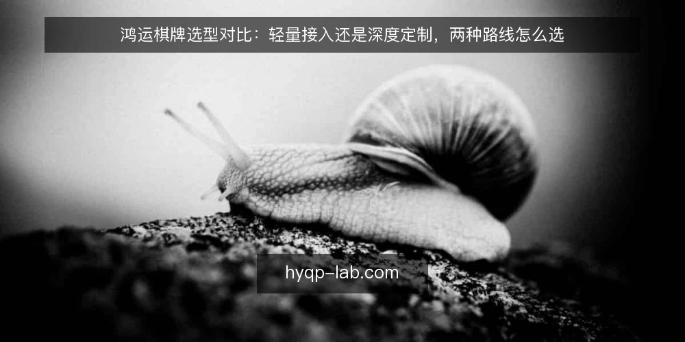 鸿运棋牌选型对比：轻量接入还是深度定制，两种路线怎么选 — 先定评估标准：把选型问题变成可比问题 配图