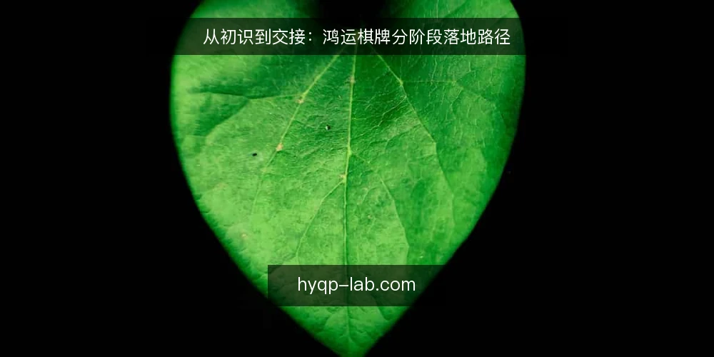 从初识到交接:鸿运棋牌分阶段落地路径 — 起点:先摸清自己的使用边界 配图